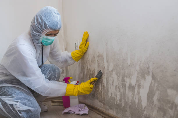 Best Crawl Space Mold Removal  in Green Knoll, NJ