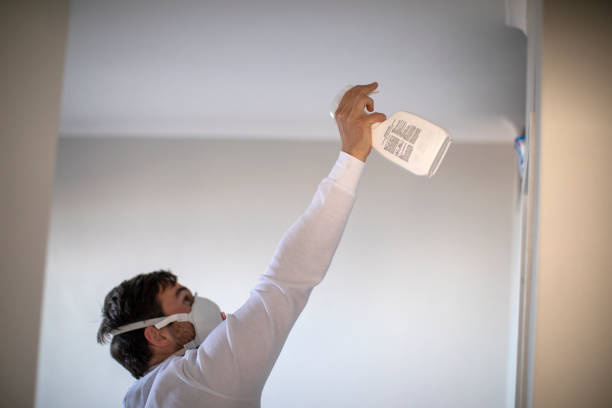 Best Affordable Mold Removal  in Green Knoll, NJ