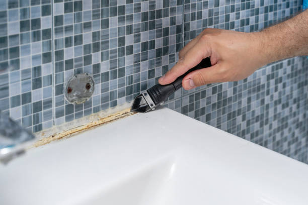 Best Water Damage Restoration  in Green Knoll, NJ